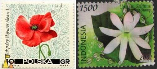 Bunga Nasional Polandia dan Indonesia diabadikan dalam bentuk perangko.